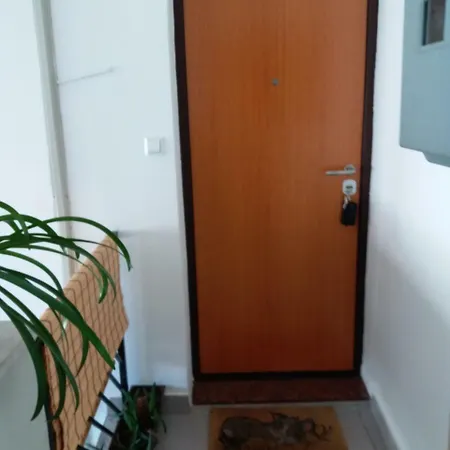 Cozy Aya In Old Town