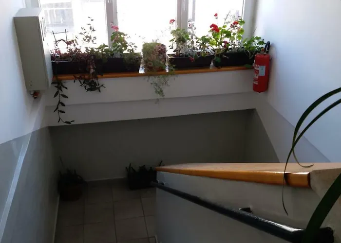 Cozy Aya In Old Town Sarajevo